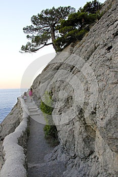 Walk on the Galitsin path in Crimea