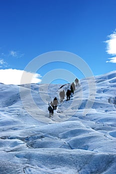 Walk in the Glacier