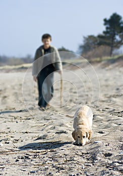 Walk with golden retriever