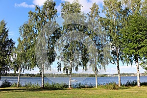 On a walk on GÃ¼ltzauudden in LuleÃ¥