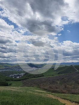 A walk at Hoia Baciu forest