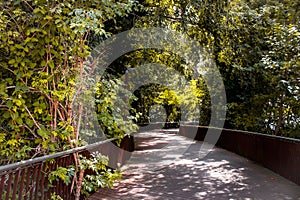 walk among leafy trees across an iron bridge