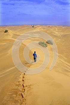 Walk lonely on desert