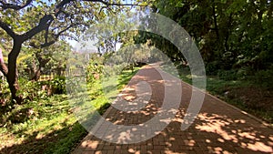 A Walk in the Nairobi Arboretum: