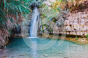 Walk in the national park Ein Gedi, Israel