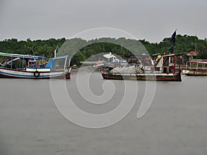 Walk in the Paciencia patience River Delta photo