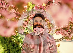 Walk in park. April events. Natural beauty surrounds me. Handsome bearded man outdoors. Happy easter. Hipster in cherry
