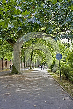 Walk in the park in Autumn