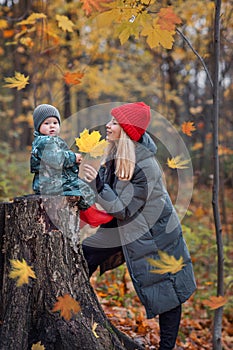 A walk in the park in autumn, a portrait of a mother with a child in an autumn forest, falling maple leaves