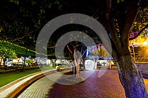 In the center of Celaya, night walk photo