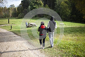 Walk in the park. A man and a woman stand on the road in warm autumn