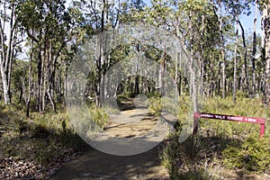 Walk path at Crooked Brook Western Australia in winter.