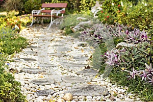 Walk path in garden decorated with stumps and stone