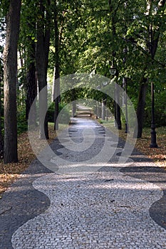 Walk path from paving stones in Jurmala park area forest in the autumn day