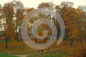 Walk path and see view in  in colourful autumn