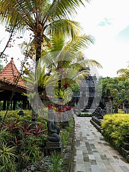 Walk path surrounded by plants 06