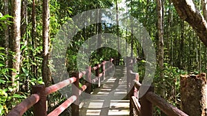 Walk on the Path Through Tropical Jungle. HD first person view slow motion. Thailand.