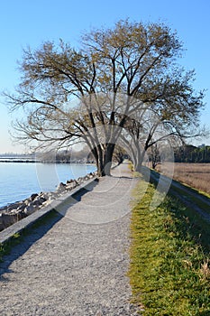 Walk by the sea