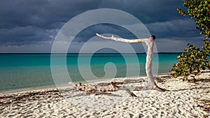 Walk on Seven Mile Beach