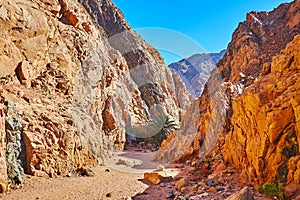 Walk in small canyon, Sinai, Egypt