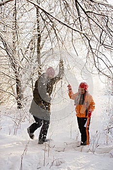 Walk in snowy forest