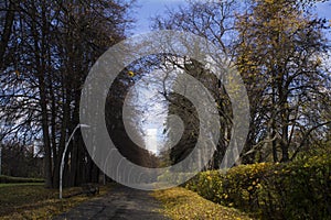 Walk on the Sparrow Hills in autumn, Moscow