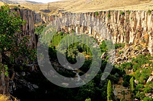 Walk in the spring on the wooded path ÃÂ±hlara valley