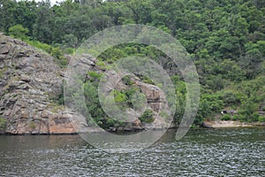 Walk on a summer day