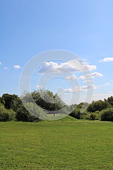 On a walk on a summer day