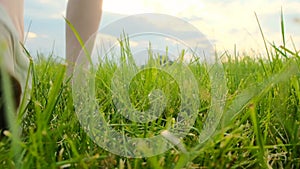 Walk in the summer green field. children's feet walk on the green grass. Proximity with nature.Summer season.Summer