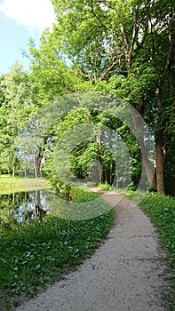 Walk in the summer park the road goes into the distance