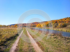 Walk on a sunny autumn day along the river bank.