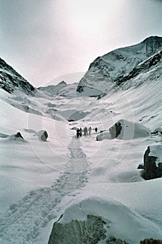 Walk through Swiss Alps