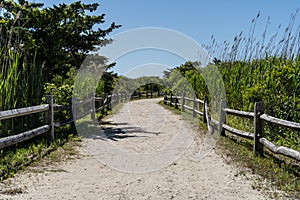 Walk to the Beach in Avalon, New Jersey