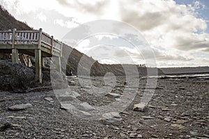 Walk to cliffs at low tide, Joggins Fossil Cliffs, Nova Scotia,