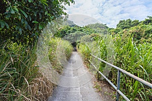 Walk to Sok Kwu Wan Lamma Island