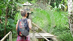 Walk to the waterfall along the path in the rainforest. Bali, Indonesia.