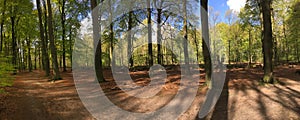 Walk trail panorama at the hoge veluwe