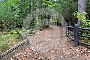Walk trail through the woods