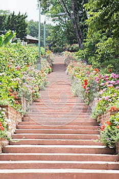 Walk up the stairs in the garden