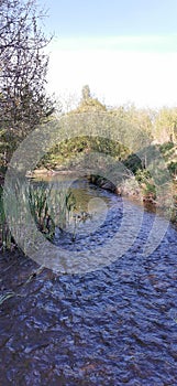 A walk upstream in the spring sun
