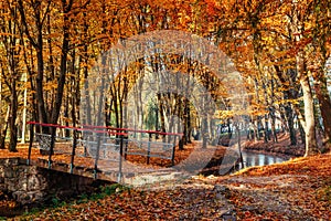Walk way bridge over river with colorful trees in autumn time