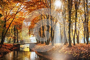 Walk way bridge over river with colorful trees in autumn time