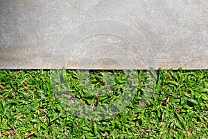 Walk way concrete and green grass photo