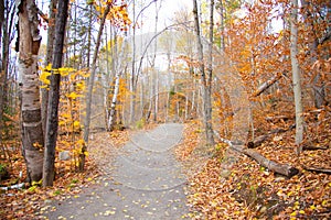 Walk way during fall season