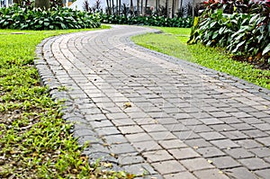 Walk Way in the Garden