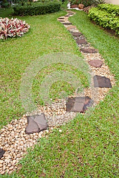 Walk way in garden