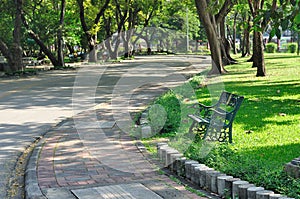 Walk way in garden, relaxing and freshy.