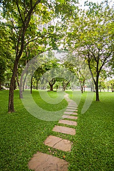 Walk way in the garden in vertical view