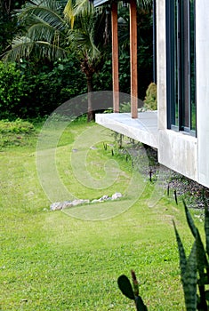 walk way green grass in the garden